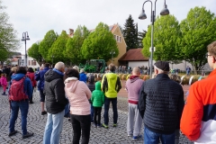 Maibaum 2019: Ankunft am Rathausplatz